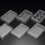 Cell Culture Plates