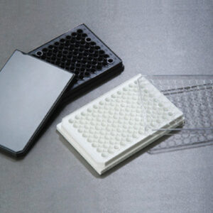 Square Dish