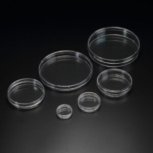 Cell Culture Dish