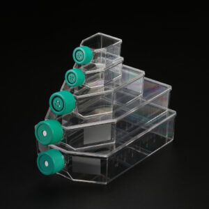Cell Culture Flask