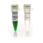 DreamTaq Green PCR Master Mix (2X) #K1081