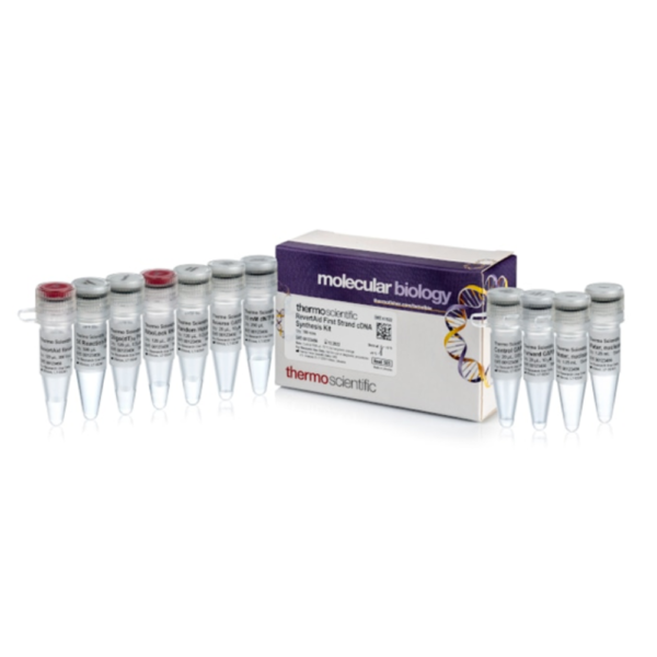 RevertAid First Strand cDNA Synthesis Kit #K1622