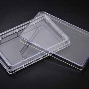 Tray Plate