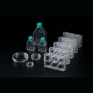 Collagen Type I Coated Ware
