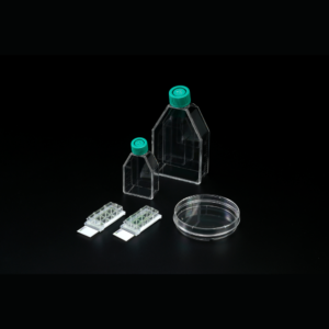 Collagen Type Ⅳ Coated Ware