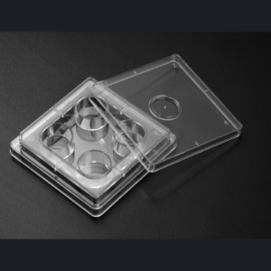 Cell Culture Plate 4well