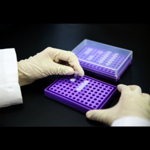 PCR Tube Rack