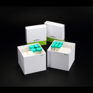 Conical Tube Storage Box