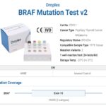 BRAF Mutation Test v2