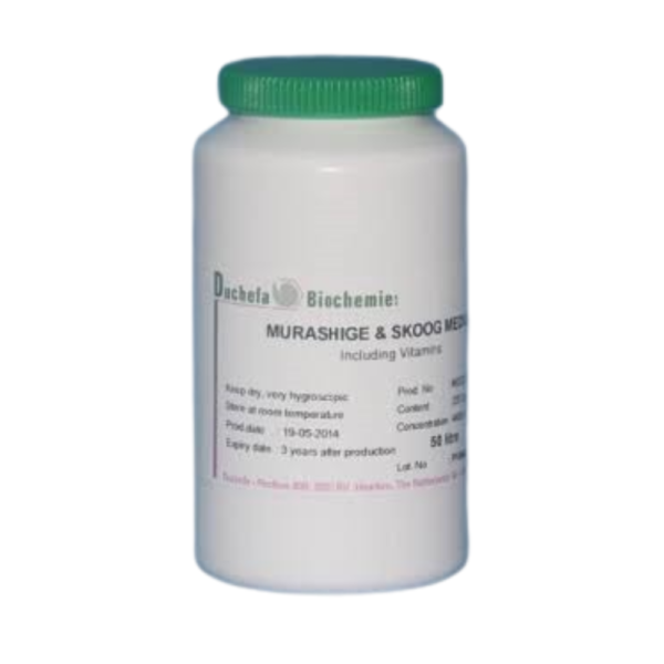 Finer & Nagasawa Modification : 1.6 x concentration of KNO3 & 0,5 x concentration of NH4NO3