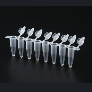 PCR Tube