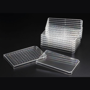 Lid
