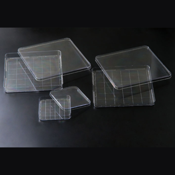 Square Dish