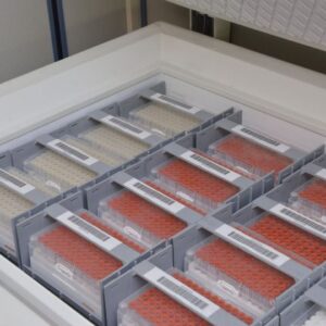 Modular Vertical Freezer Rack