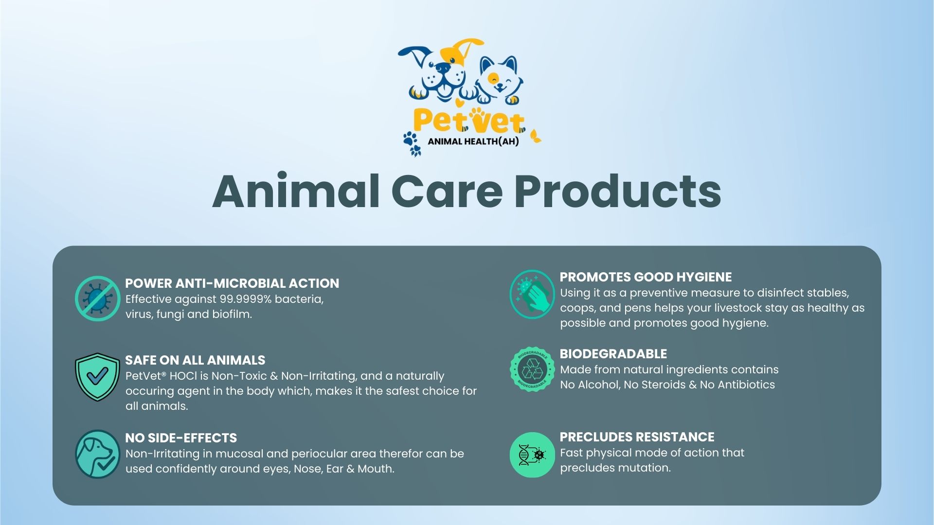 Pet vet care Home Banner