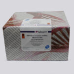 RNASure® Fusion miRNA Mini Kit