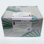 DNASure® Blood Mini Kit