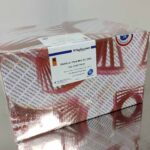 DNASure® Plant Mini Kit