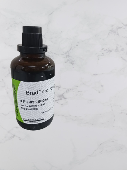 Bradford Reagent