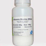 Albumin, Bovine, Fraction V