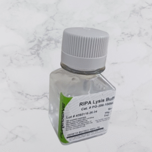 RIPA LYSIS BUFFER