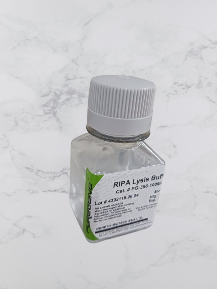 RIPA LYSIS BUFFER