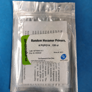 Random Hexamer Primers
