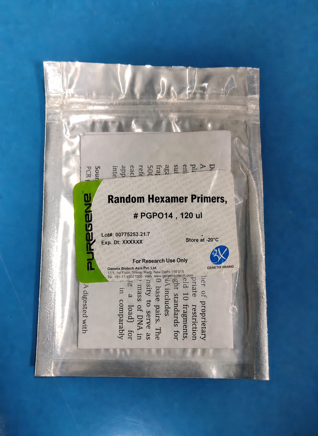 Random Hexamer Primers