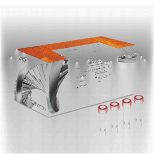 HBVSure™ Quantitative Real-Time PCR Kit