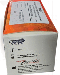 GX-DX™ Hepatitis E Qualitative Real-Time PCR kit