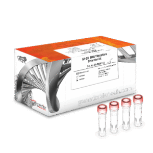 GX-DX™ BRAF Mutations Detection kit