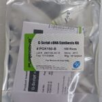 G-Script cDNA Synthesis Kit