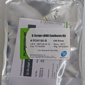 G-Script cDNA Synthesis Kit