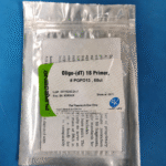 Oligo-(dT) 18 Primer