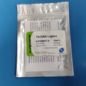 T4 DNA Ligase, 1000 units