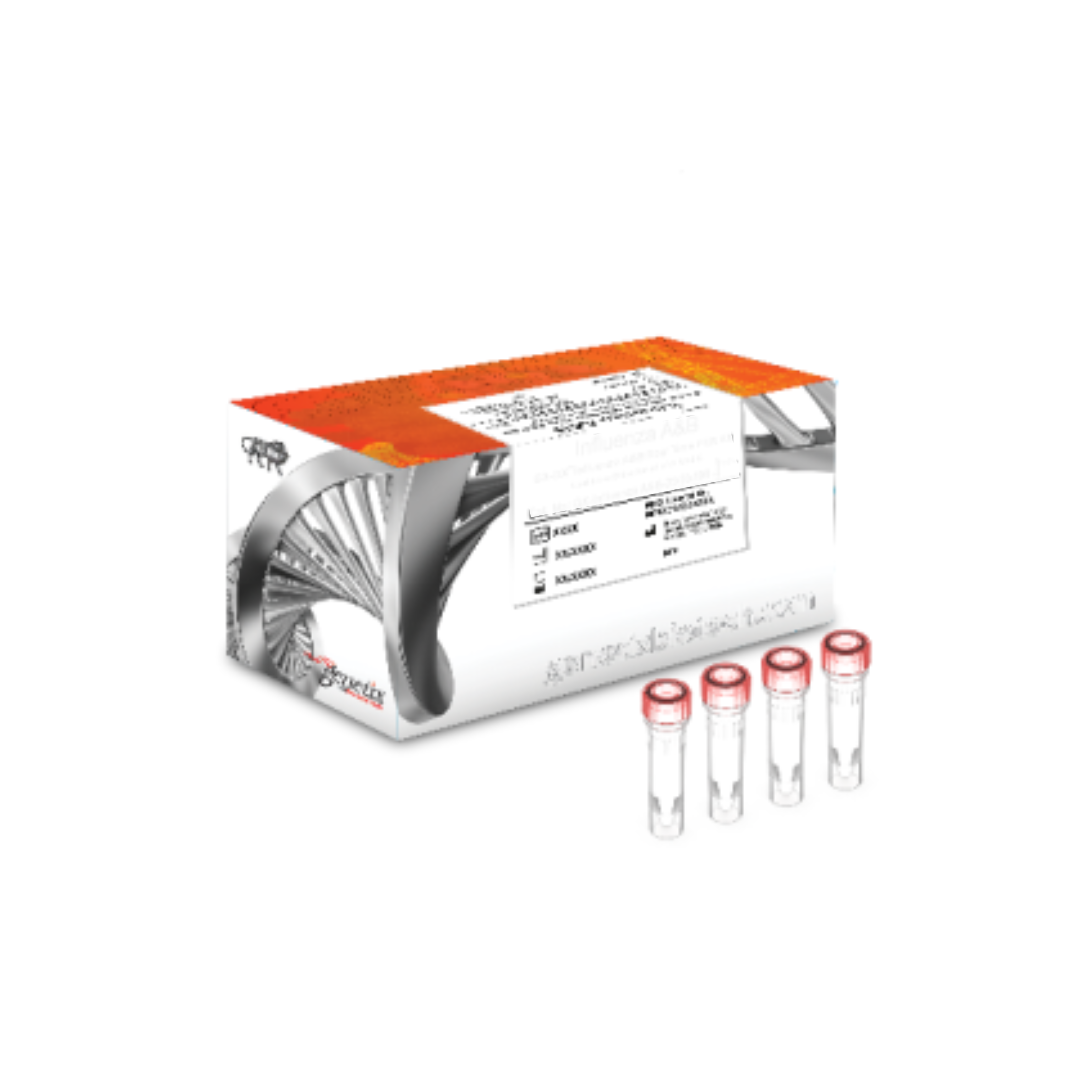 GX-DXTM EBV Qualitative RT-PCR Kit