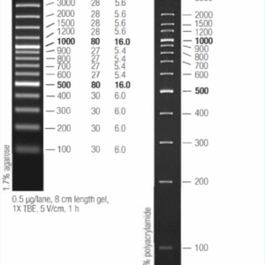 NEX-GEN DNA Ladder 3X (100bp)