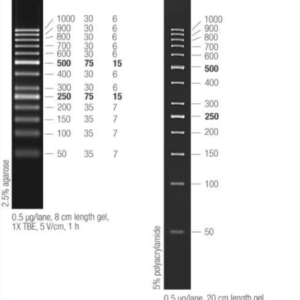NEX-GEN DNA Ladder